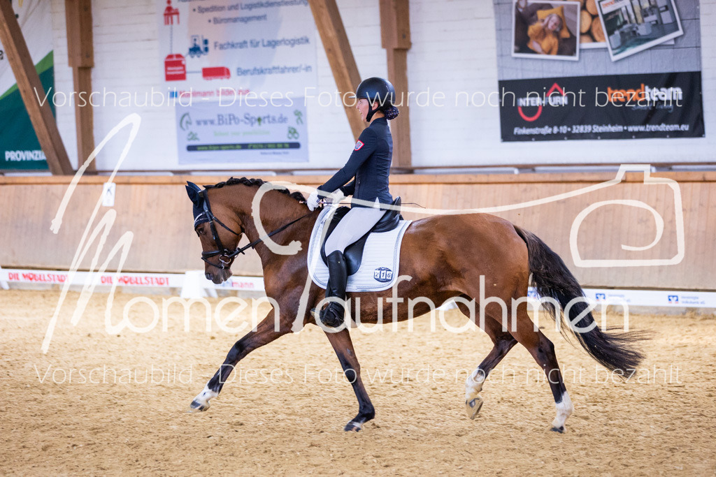 Sth-A-Dre-2St-222 | MomenTaufnahmen Pferdesportfotos