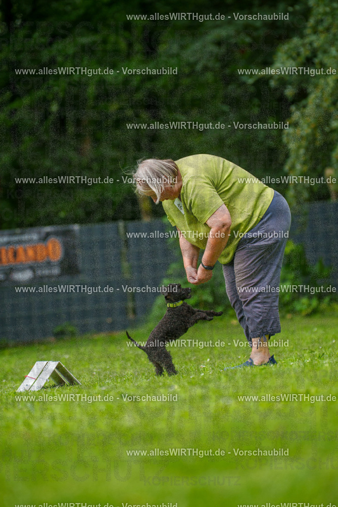 @allesWIRTHgut_Tierfotografie - www.allesWIRTHgut.de - 7R500368 | Professionelle Tierfotografie in Mönchengladbach von Daniel Wirth (allesWIRTHgut). Liebevolle & natürliche Bilder von Hunden & Katzen für unvergessliche Erinnerungen.