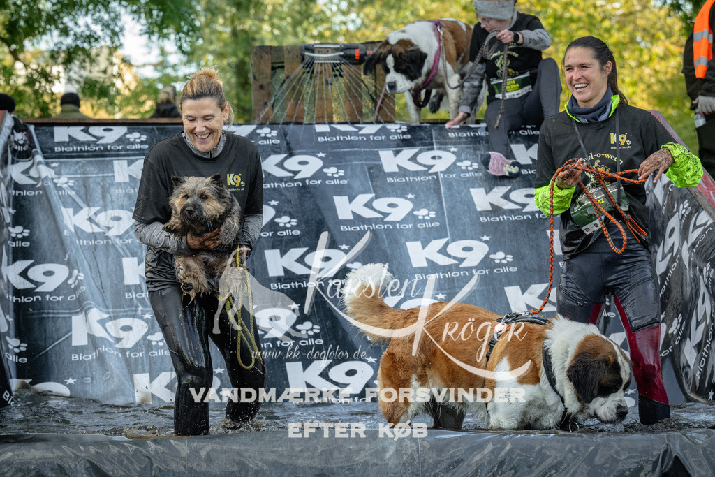 1600_ZZ91771 | kk-dogfotos