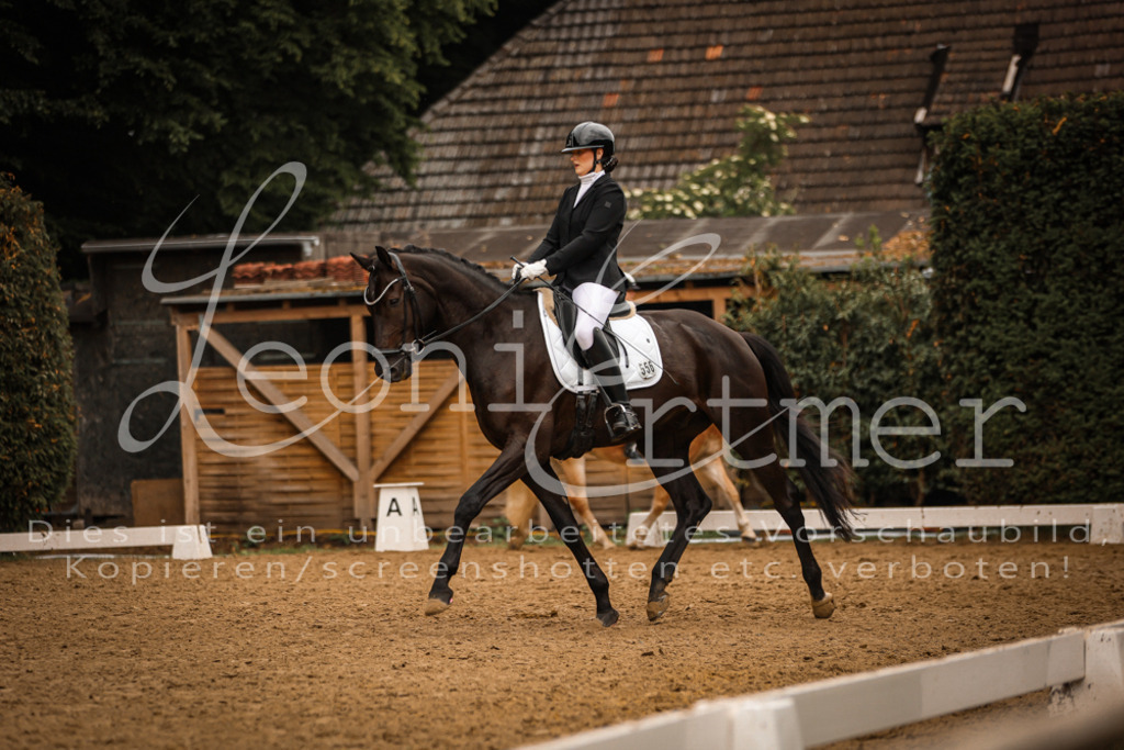 DoDrA200038 | Leoni Ertmer Photography - Realisiert mit Pictrs.com