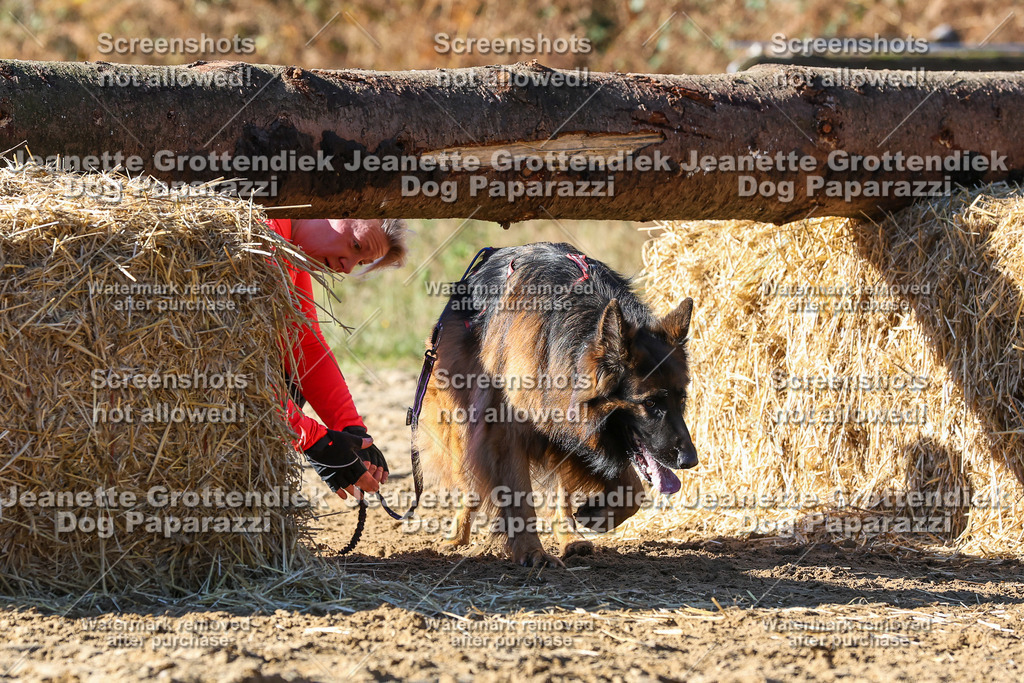 Dog Paparazzi - Strongdog 10-25-2632 | Dog Paparazzi Jeanette Grottendiek Fotografie & Videografie - Realisiert mit Pictrs.com