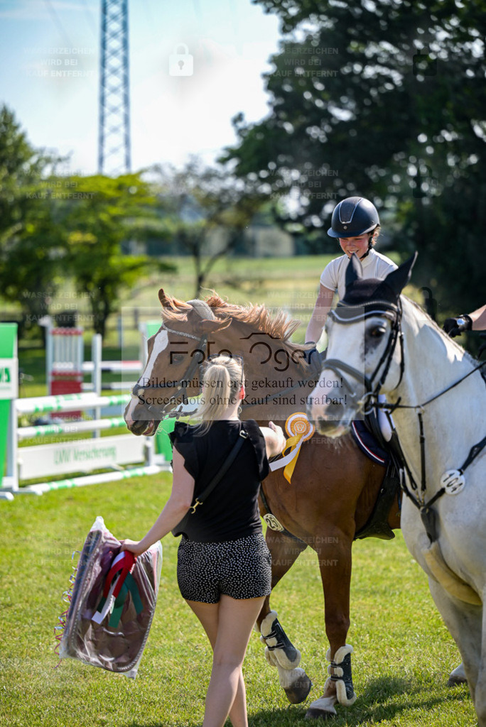 Reitturnier Voxtrup | Entdecke hochwertige Reitturnierfotos von Foto Oger. Professionell, emotional und authentisch – jetzt Lieblingsmomente im Shop bestellen. - Realisiert mit Pictrs.com