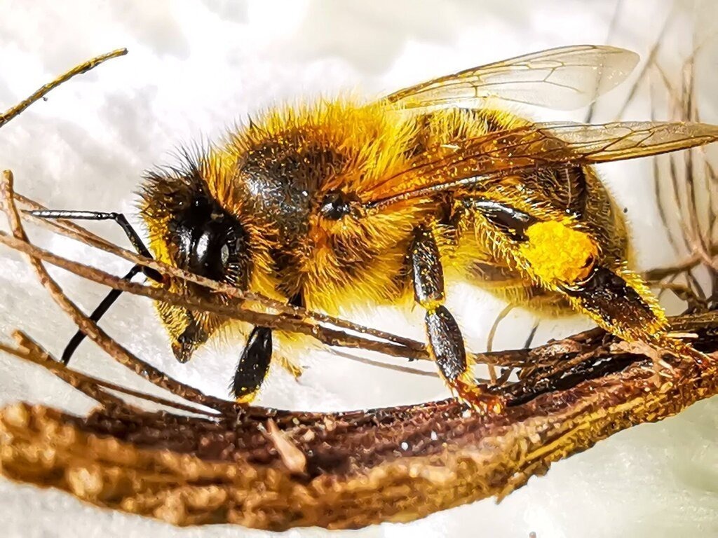 PSX_20240404_223125 | mtkfoto_ - Realisiert mit Pictrs.com