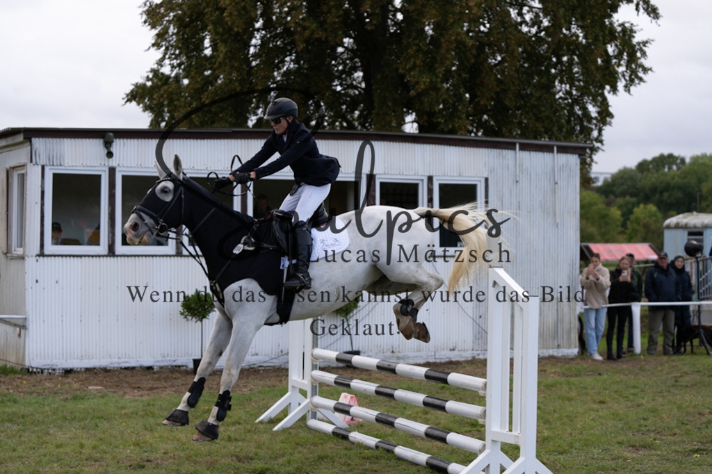 A7V06428 | Pferdefotograf