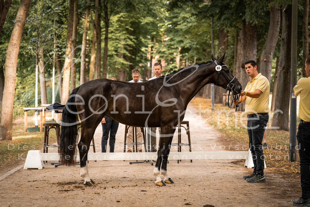 FrPfM00080 | Leoni Ertmer Photography - Realisiert mit Pictrs.com