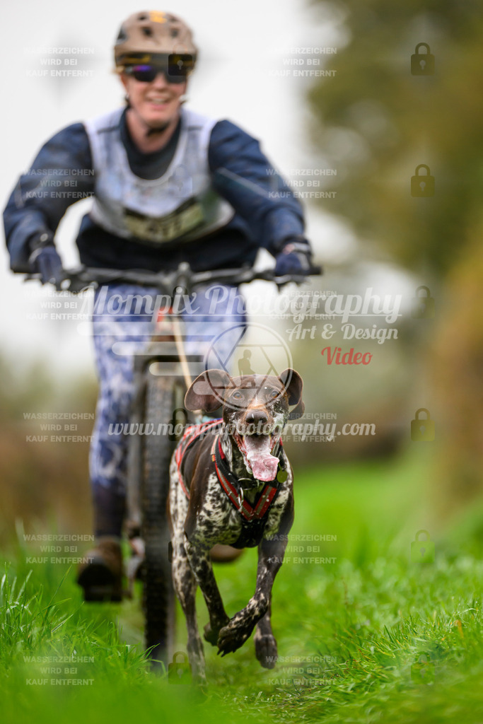 MompixPhotography_20TSB_E8_Bike-121 | PayLife