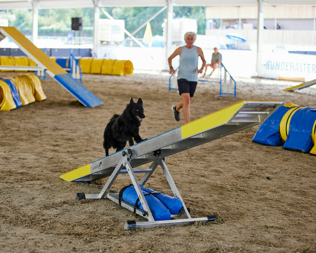 580A0250 | Peter Fridle Fotografie - Realisiert mit Pictrs.com