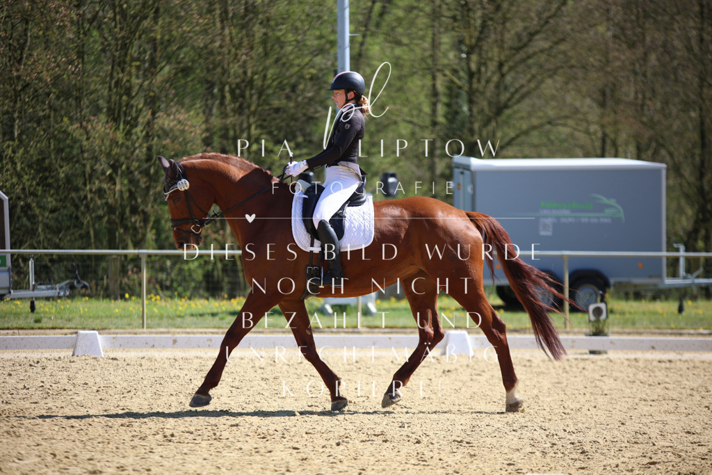 IMGT7981 | pl-fotografie