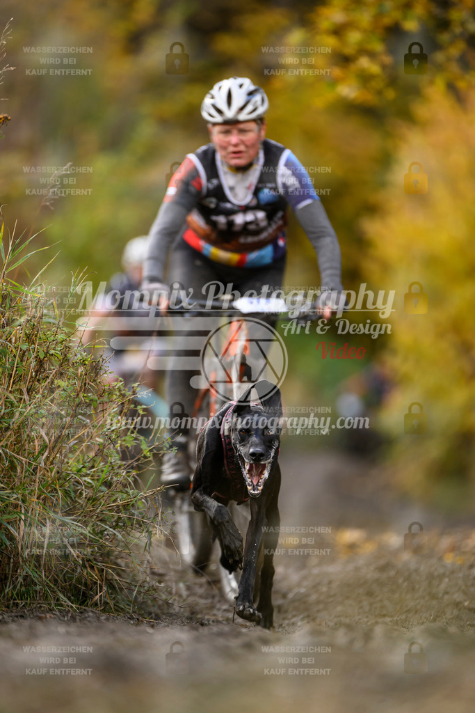 MompixPhotography_ICF_WC_2024_SA_Bike_-244 | PayLife