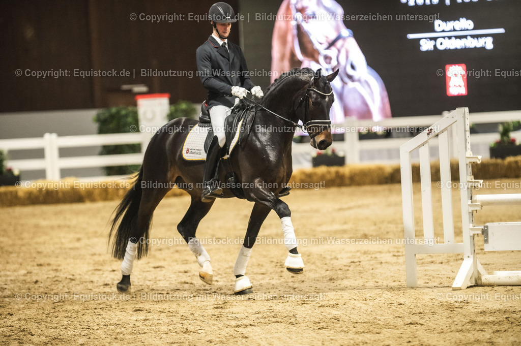 20240302_Hengstvorstellung_Marbach_TOMsPiC_0425 | equistock