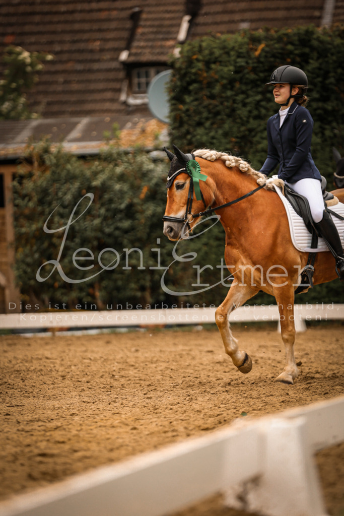 DoDrE00568 | Leoni Ertmer Photography - Realisiert mit Pictrs.com