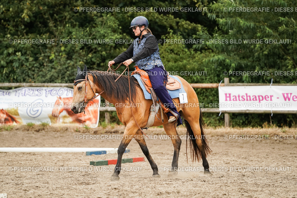 DSC08606 | Pferdegrafie