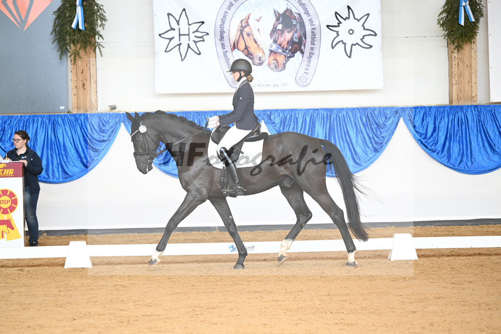 Winklmeier_Sympatico FH_10232093 | hf-fotografie - Realizzato con Pictrs.com