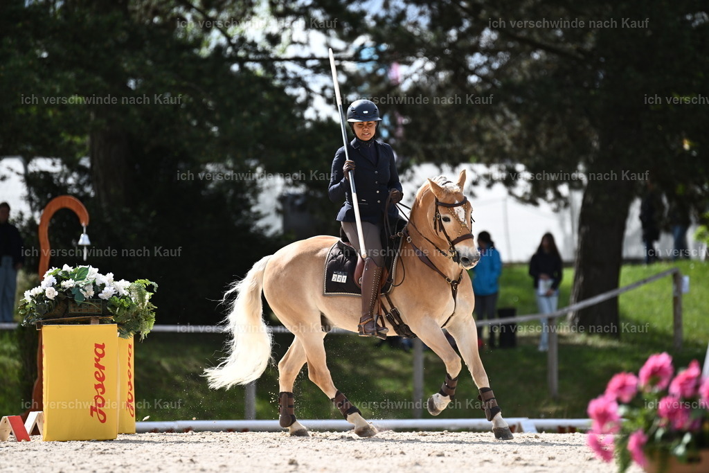 PI26_ST_Sara_Landvogt226_2279.JPG | working equitationturnier fotograf videograf stoibphotography marixx film working equitation deutschland reitsport turnierfotografie eventfotografie equestrian events