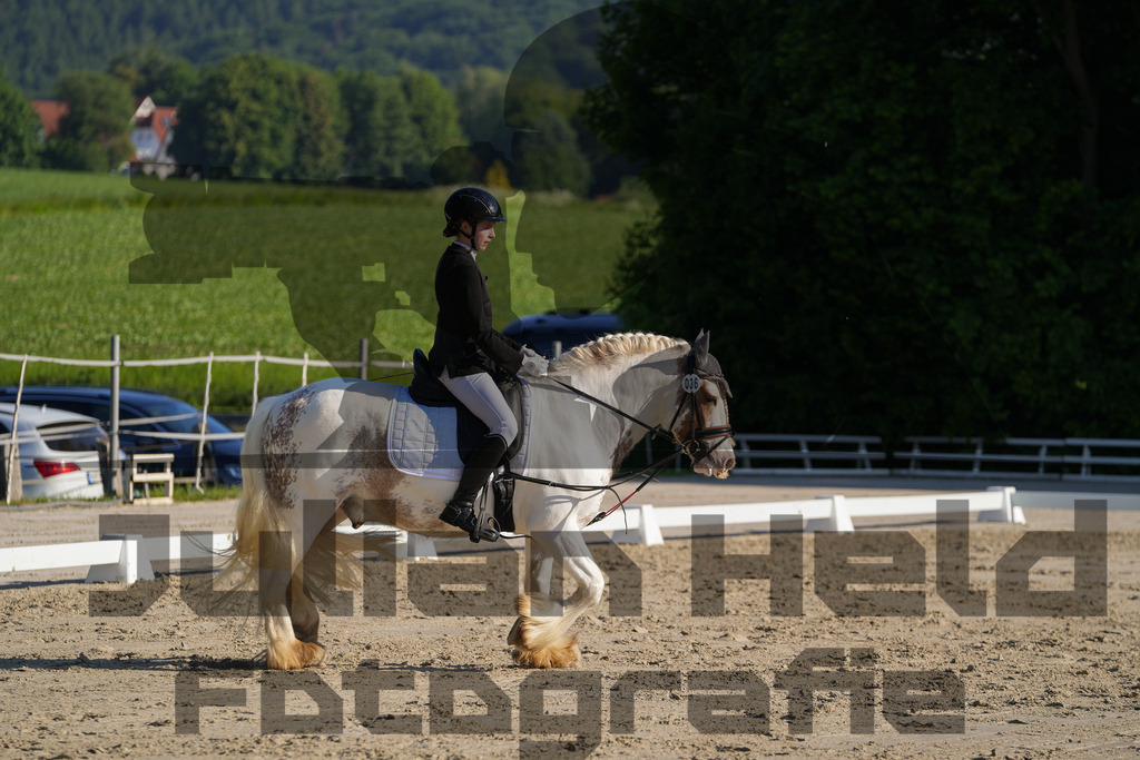 DSC02737 | Julian Held Fotografie - Realisiert mit Pictrs.com