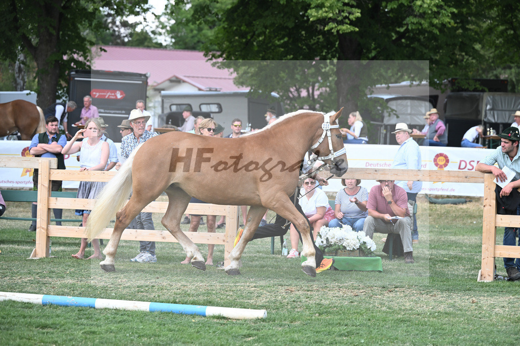 Kat-Nr. 58 Kenia_Schroeder_20230940 | hf-fotografie - Realisiert mit Pictrs.com