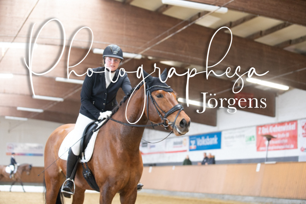 CANON_Canon EOS 5D Mark IV_125126400-125207261_1518 | photographesa-joergens - Realisiert mit Pictrs.com