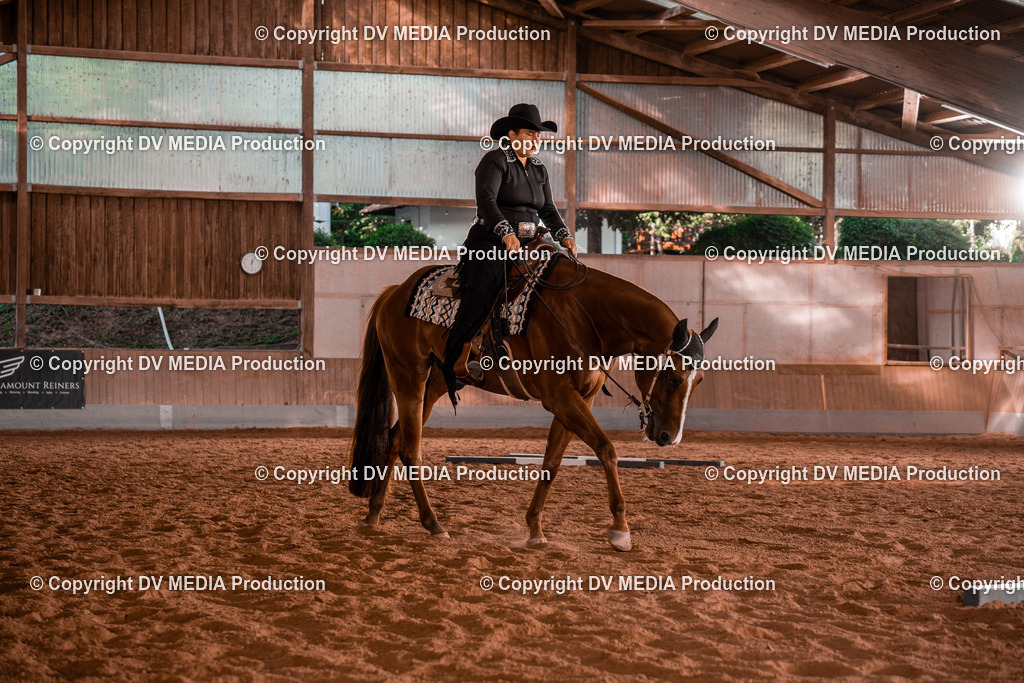 NE200098 | dv-media-shop - Realisiert mit Pictrs.com