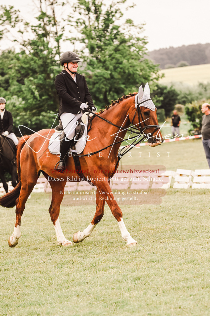 DSC_5059 | Pferde- und Turnierfotografie in Westsachsen. Pferdeportraits, Auftragszeichnungen und intuitive Kunst.