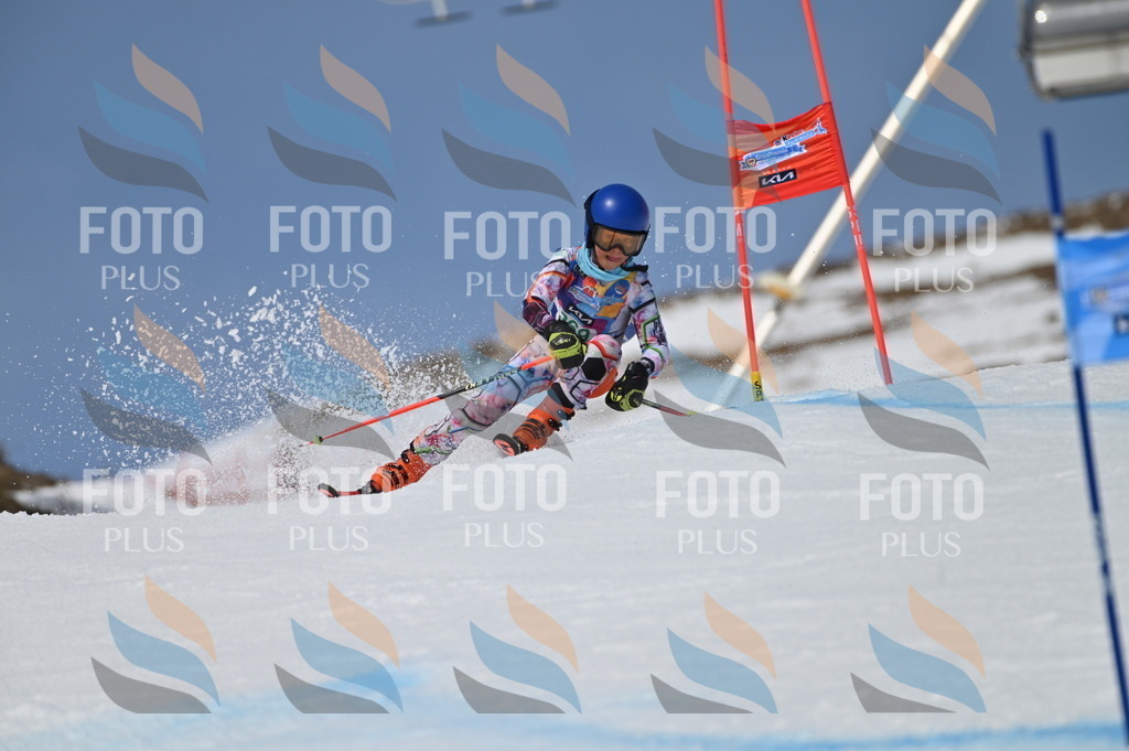 BGV_7292 | holidayphoto