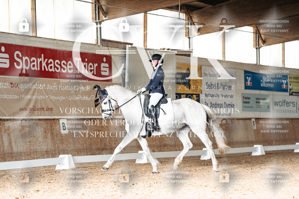 CK902565 | Turnierfotografie Pferdefotografie Trier Rheinland-Pfalz Pferdesport Reitsport Tierfotografie Sportfotografie Pferdevideo Pferdevideografie Equestrianvideography equestrianphotography  - Realisiert mit Pictrs.com