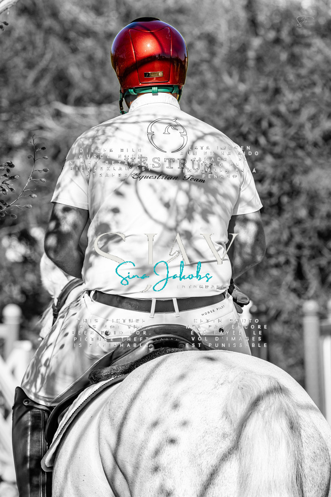 IMG_1462 | s-jay-photography - Realisiert mit Pictrs.com
