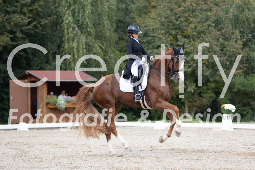 IMG_4806 | Creatify Fotografie