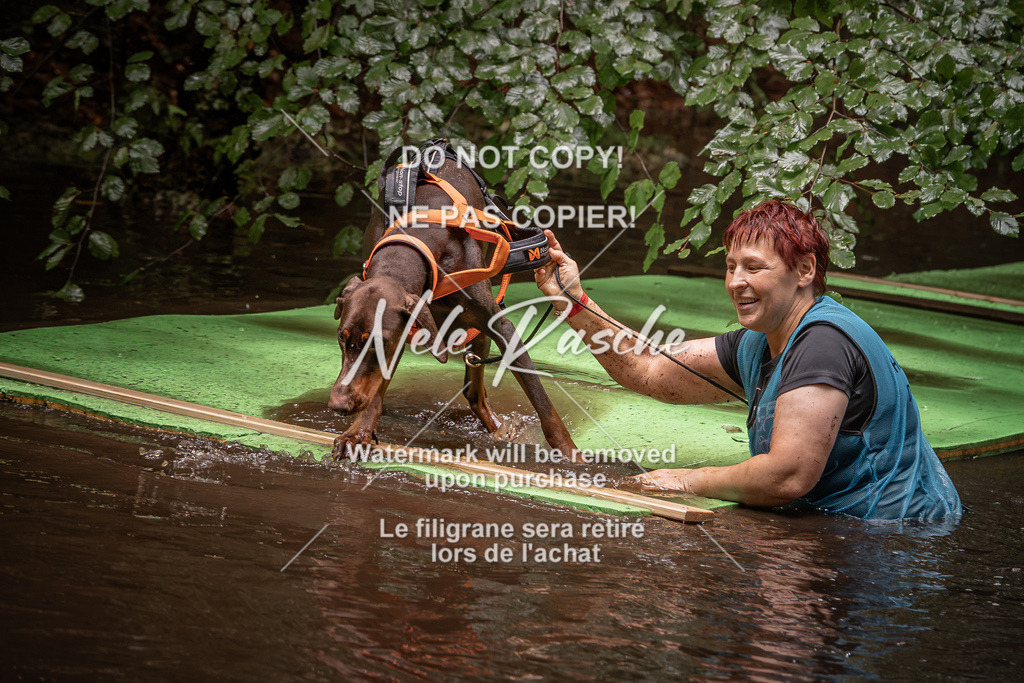 nelerasche_Wingst_Sa1330-1400_66 | nelerasche