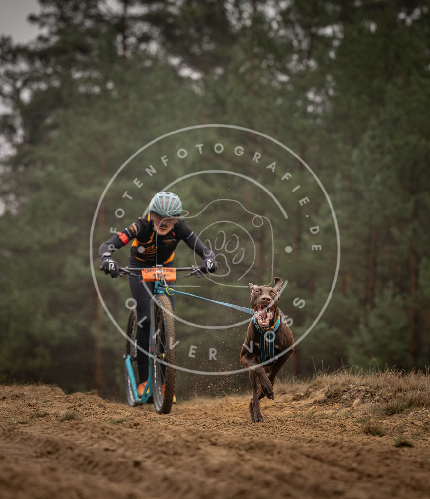 Pfotenfotografie_DV3A4232 | Hundefotografie, Tierfotograf, Pfotenfotografie, Fotoshooting Hund, Hunde Portrait, Hundesport, Hundeportraits, Heideshooting, Hunde, Sportfotograf, Hundefotograf, Turnierhundsport, THS,  - Realisiert mit Pictrs.com