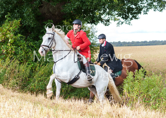 Jagd Knoop 26_MarinaHewigMCH02539 | Fotografie, FotoArt, PferdesportArt, Pferdesportfotografie, Landschaftsfotografie, Reisefotografie, Reise, Pferde - Realisiert mit Pictrs.com