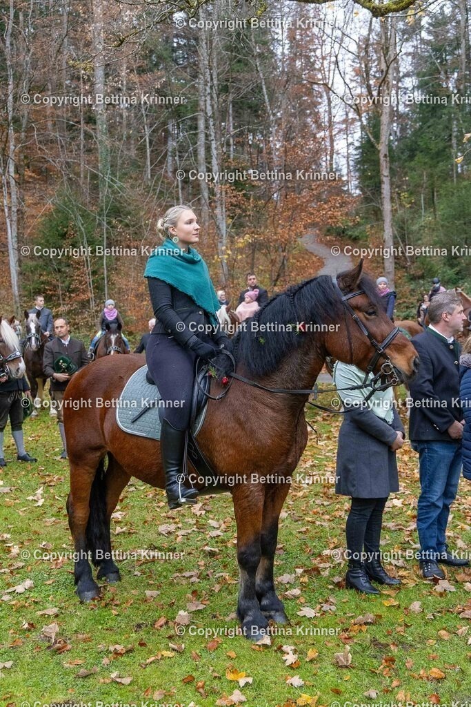 LL25-198 | foto-bettina-krinner - Realisiert mit Pictrs.com