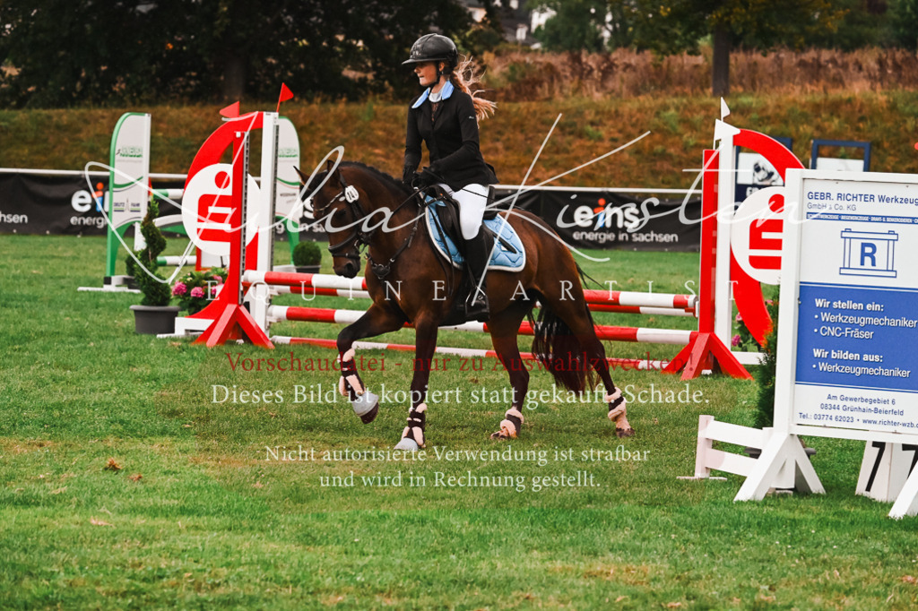 DSC_6159 | Pferde- und Turnierfotografie in Westsachsen. Pferdeportraits, Auftragszeichnungen und intuitive Kunst.