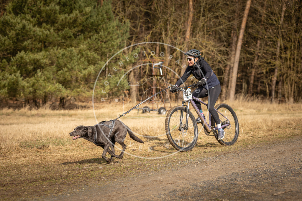 DV3A4448 | Hundefotografie, Tierfotograf, Pfotenfotografie, Fotoshooting Hund, Hunde Portrait, Hundesport, Hundeportraits, Heideshooting, Hunde, Sportfotograf, Hundefotograf, Turnierhundsport, THS,  - Realisiert mit Pictrs.com