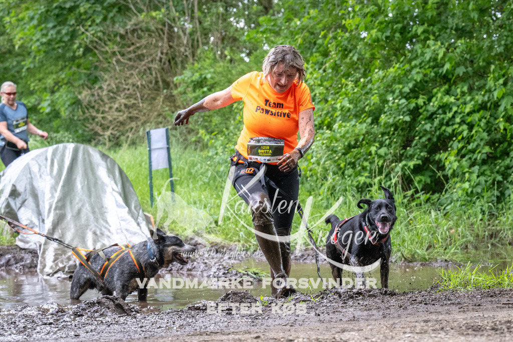 1253_ZZ94093 | kk-dogfotos