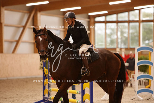 1J2A8667Tina Hertel_ Uriko_s Unicus_ Kn479_ Glantz_ Hohen Wieschendorf | Foto- und Videografie für alles rund ums Pferd. Hochwertige Bilder und Videos vom Spring- und Dressurreiten, Voltigieren & mehr. Jetzt aktuelle Veranstaltungen und Preise im Shop ansehen. - Realisiert mit Pictrs.com