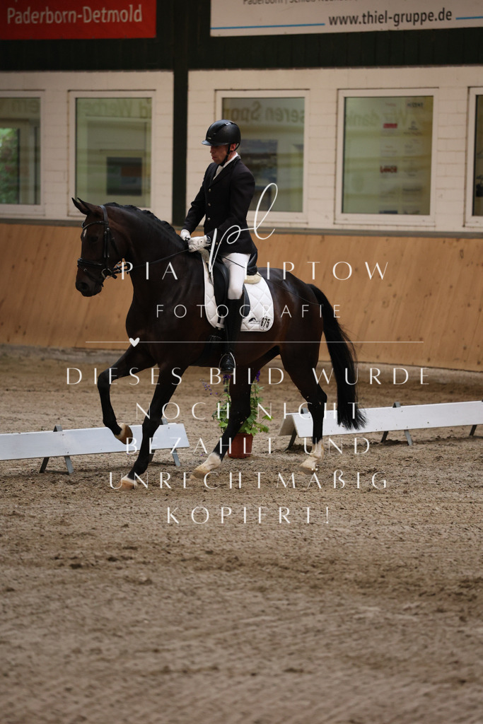 IMGM7134 | pl-fotografie