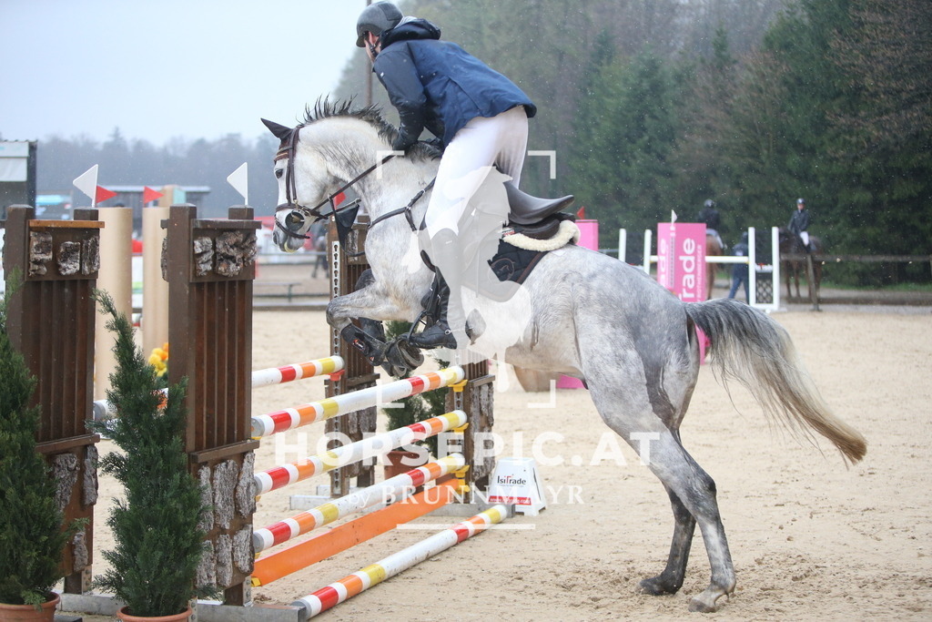 AS8V2227 | Willkommen bei Brunnmayr - Design & Fotografie – Ihrem Spezialisten für Reitturniere und Pferdeveranstaltungen in Oberösterreich, Salzburg und Bayern! Seit über 17 Jahren sind wir leidenschaftlich dabei.