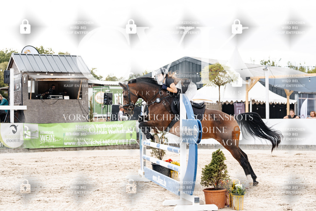 CK902604 | Turnierfotografie Pferdefotografie Trier Rheinland-Pfalz Pferdesport Reitsport Tierfotografie Sportfotografie Pferdevideo Pferdevideografie Equestrianvideography equestrianphotography  - Realisiert mit Pictrs.com