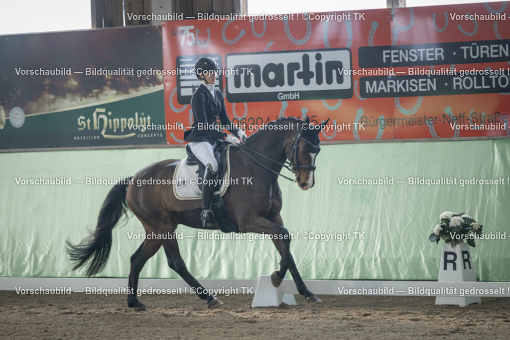 _D5A4271 | Emotionale Pferde- & People-Fotografie rund um Heidelberg, Leimen & Umgebung. Natürliche Fotos von Pferd, Mensch & Familie. Jetzt Termin sichern!