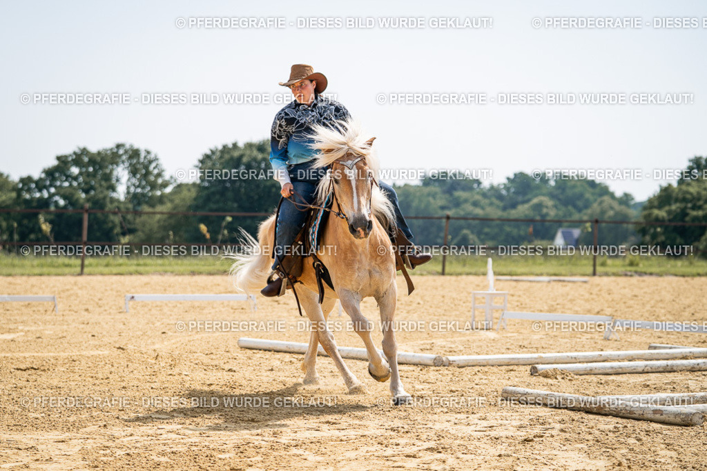 DSC00006 | Pferdegrafie