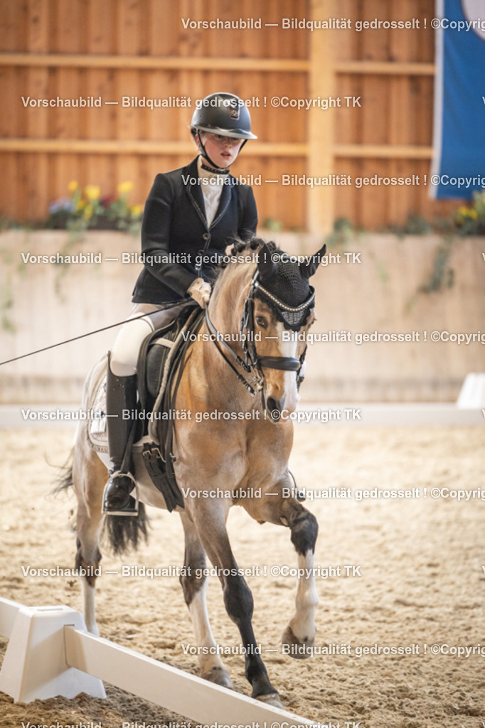 _D5A9096 | Emotionale Pferde- & People-Fotografie rund um Heidelberg, Leimen & Umgebung. Natürliche Fotos von Pferd, Mensch & Familie. Jetzt Termin sichern!