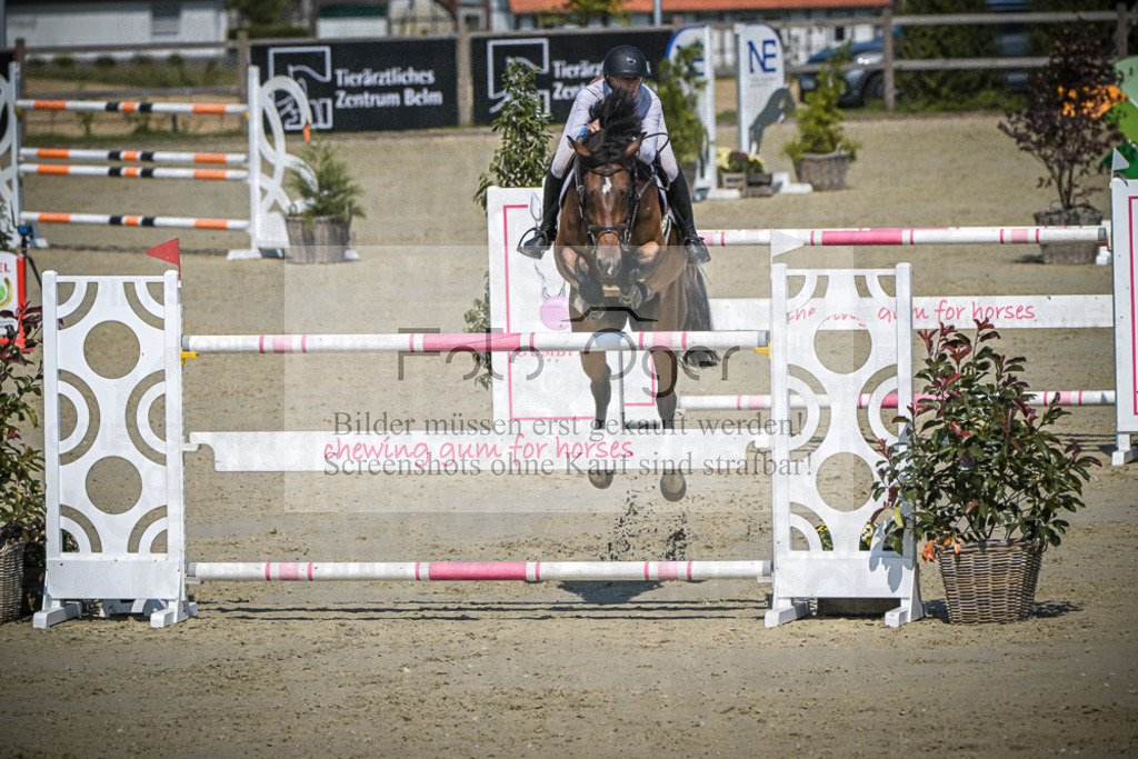 DOS_0723 | Entdecke hochwertige Reitturnierfotos von Foto Oger. Professionell, emotional und authentisch – jetzt Lieblingsmomente im Shop bestellen.Deutschlandweite Turnierfotografie. - Realisiert mit Pictrs.com