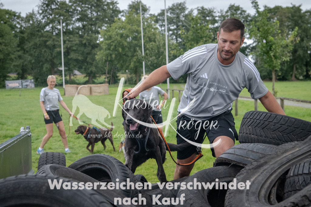 _ZZ91881 | kk-dogfotos