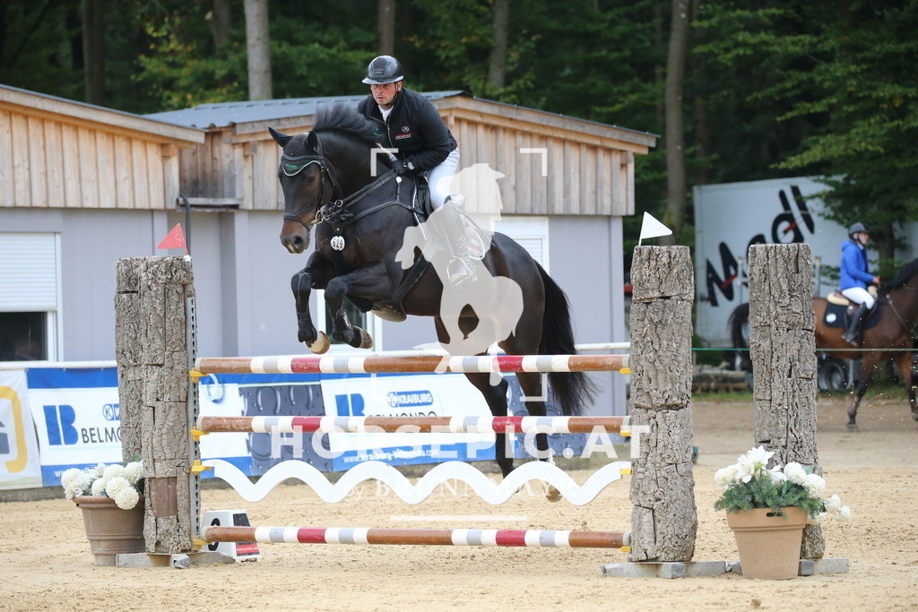 DL2Q1630 | Willkommen bei Brunnmayr - Design & Fotografie – Ihrem Spezialisten für Reitturniere und Pferdeveranstaltungen in Oberösterreich, Salzburg und Bayern! Seit über 17 Jahren sind wir leidenschaftlich dabei.