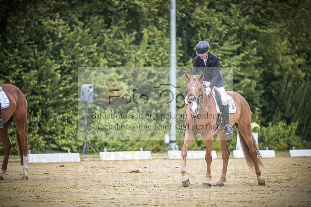 DOS_1806 | Entdecke hochwertige Reitturnierfotos von Foto Oger. Professionell, emotional und authentisch – jetzt Lieblingsmomente im Shop bestellen.Deutschlandweite Turnierfotografie. - Realisiert mit Pictrs.com