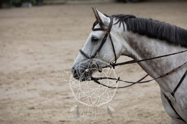 2B4A2530 | pixelfaenger - Realisiert mit Pictrs.com