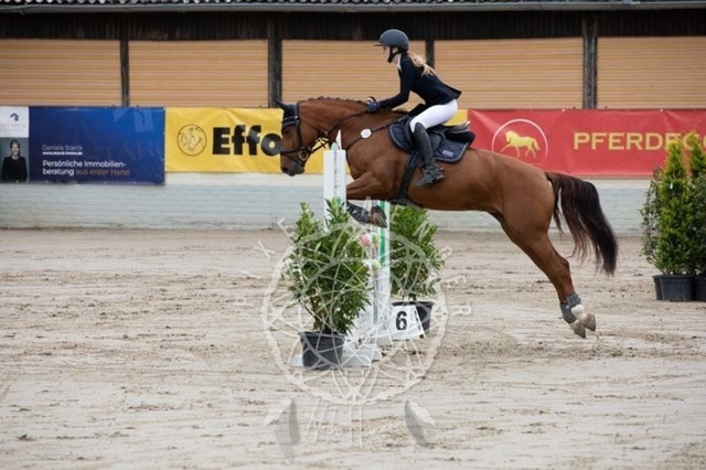 2B4A1576 | pixelfaenger - Realisiert mit Pictrs.com