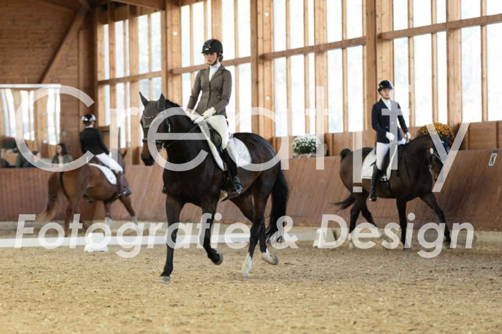 IMG_4759 | Creatify Fotografie