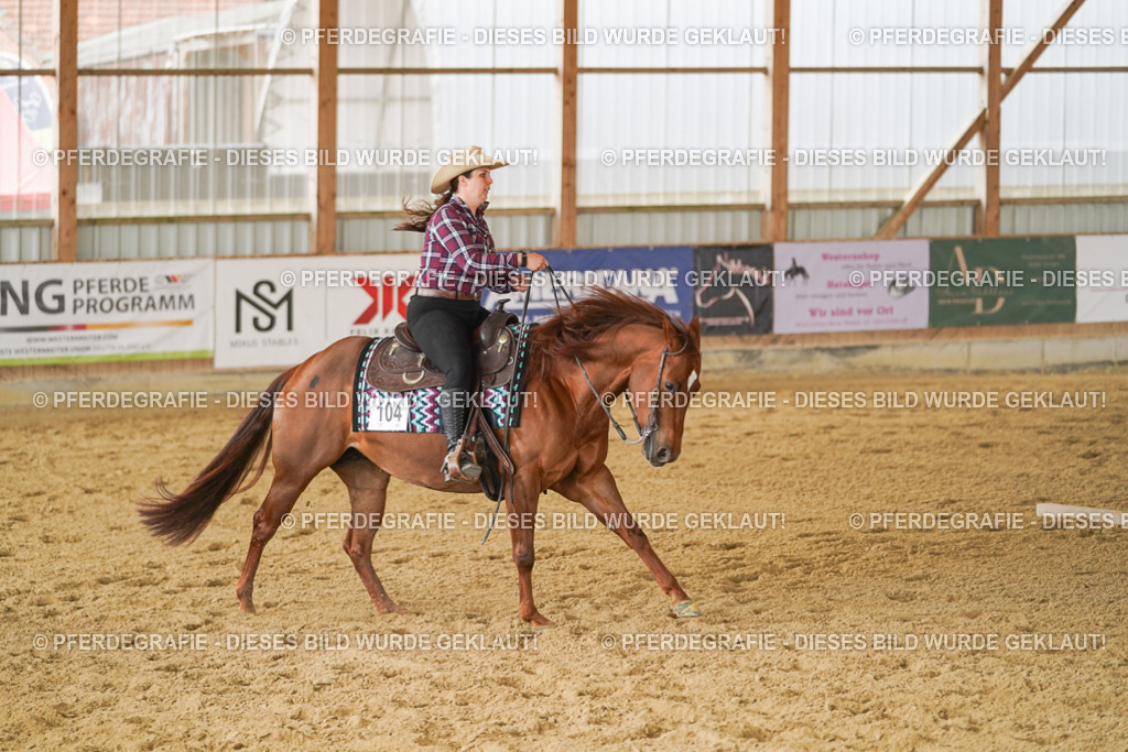 DSC03972 | Pferdegrafie