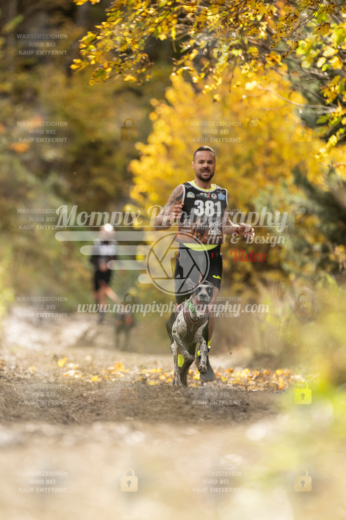 MompixPhotography_ICF_WC_2024_SA_Run_-318 | PayLife